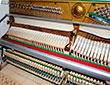 Klavier-August-Hoffman-111M-weiss-9804016-8-b